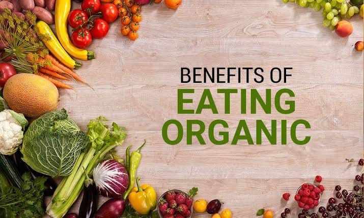 Organic Food Benefits: Why They Matter for Your Health